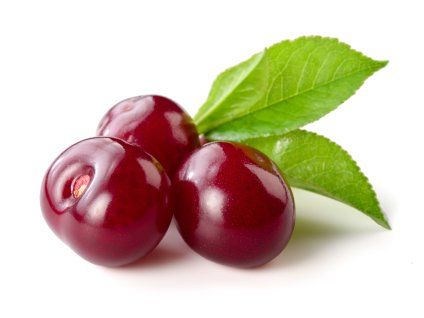 Višeň